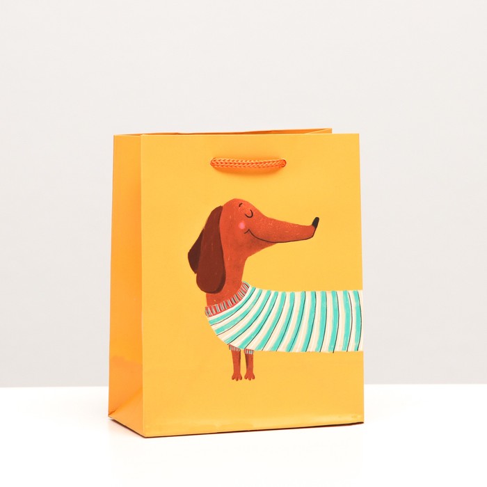 Пакет подарочный "Такса", 11,5 х 14,5 х 6,5 см
Пакет подарочный "Такса", 11,5 х 14,5 х 6,5 см