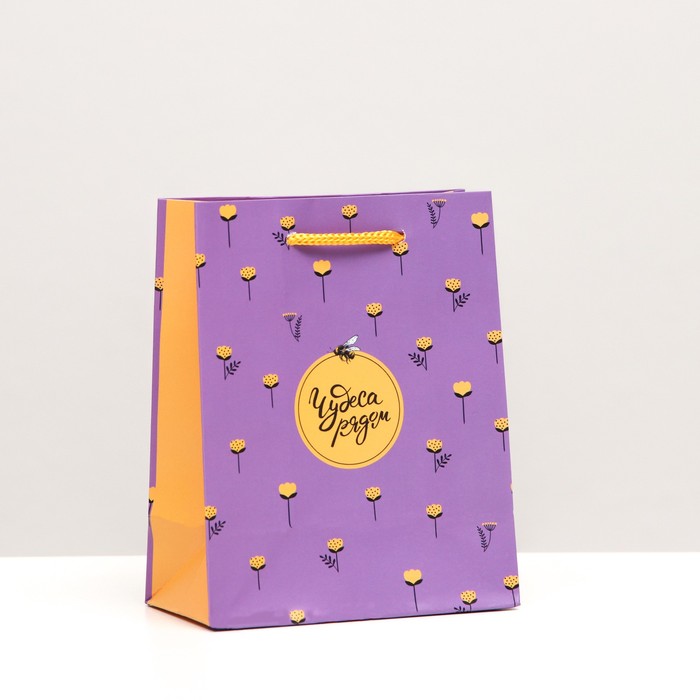 Пакет подарочный "Чудеса рядом", 11,5 х 14,5 х 6,5 см
Пакет подарочный "Чудеса рядом", 11,5 х 14,5 х 6,5 см