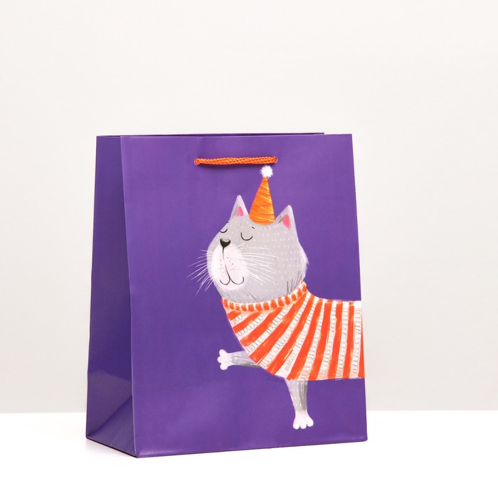 Пакет подарочный "Праздничный котик", 18 х 22,3 х 10 см
Пакет подарочный "Праздничный котик", 18 х 22,3 х 10 см
