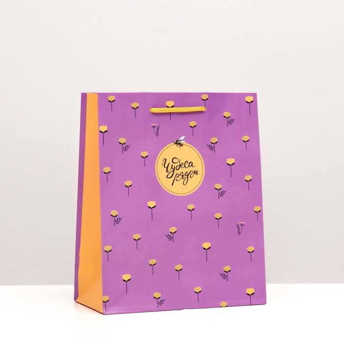 Пакет подарочный "Чудеса рядом", 18 х 22,3 х 10 см
Пакет подарочный "Чудеса рядом", 18 х 22,3 х 10 см