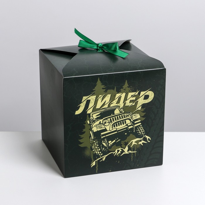 Коробка складная «Лидер», 18 × 18 × 18 см
Коробка складная «Лидер», 18 × 18 × 18 см