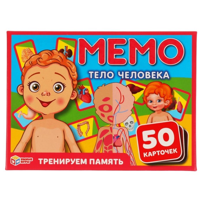 Карточная игра Мемо «Тело человека», 50 карточек
Карточная игра Мемо «Тело человека», 50 карточек