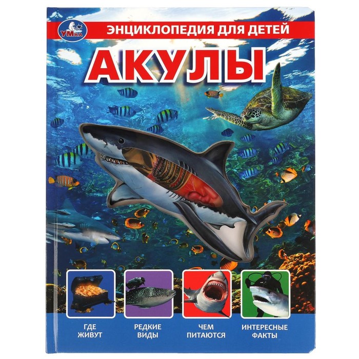 Энциклопедия для детей «Акулы»
Энциклопедия для детей «Акулы»