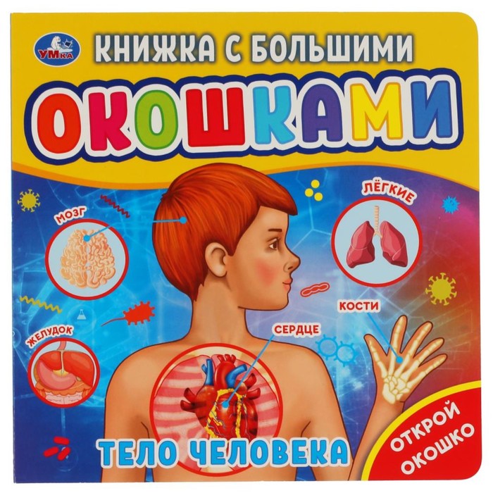 Книжка с большими окошками «Тело человека»
Книжка с большими окошками «Тело человека»