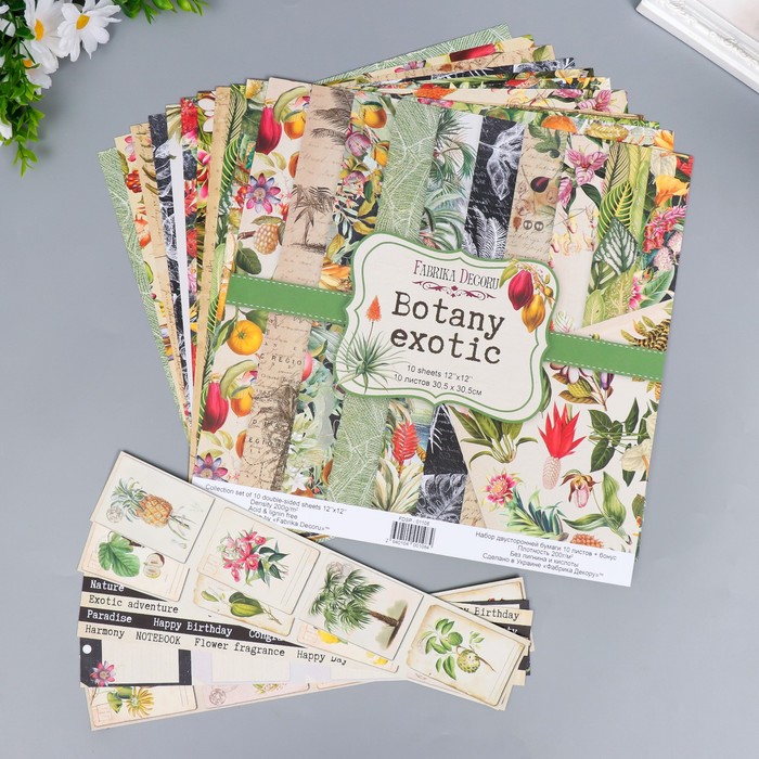 Набор бумаги для скрапбукинга "Botany exotic" 10 листов, 30,5х30,5 см
Набор бумаги для скрапбукинга "Botany exotic" 10 листов, 30,5х30,5 см