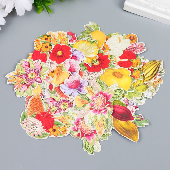 Набор высечек "Botany exotic fruits" 54 шт
Набор высечек "Botany exotic fruits" 54 шт