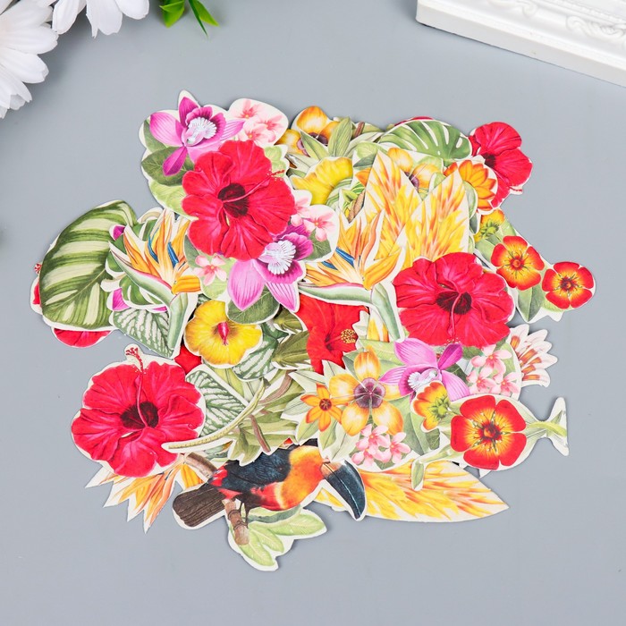 Набор высечек "Botany exotic flowers" 54 шт
Набор высечек "Botany exotic flowers" 54 шт