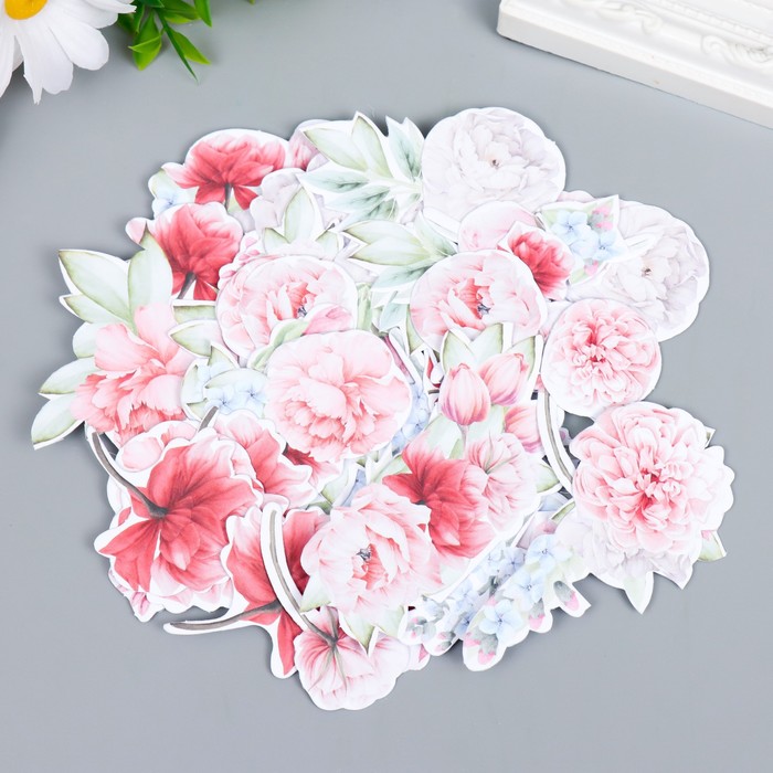 Набор высечек "Peony garden" 63 шт 
Набор высечек "Peony garden" 63 шт