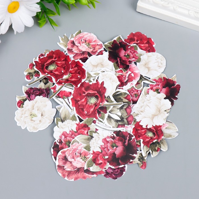 Набор высечек "Peony passion" 63 шт
Набор высечек "Peony passion" 63 шт