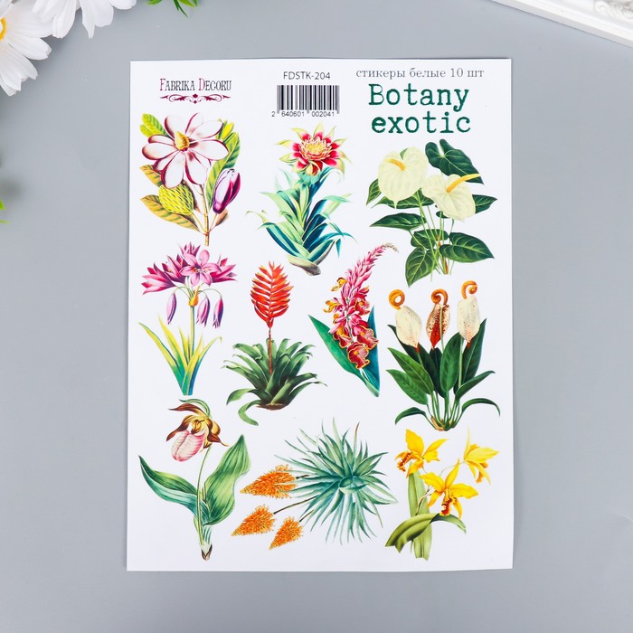 Набор стикеров "Botany exotic" 10 шт
Набор стикеров "Botany exotic" 10 шт