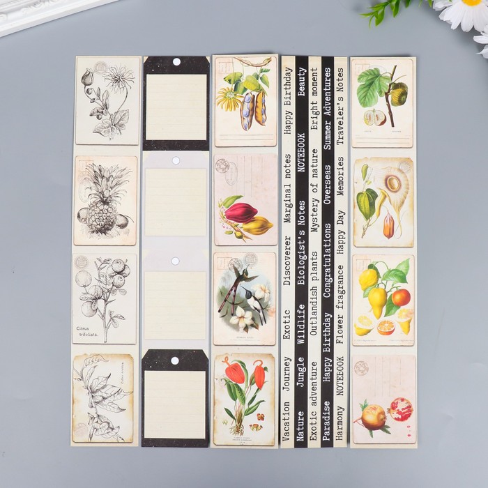 Набор полос для декорирования "Botany exotic" 5 шт, 5х30,5 см
Набор полос для декорирования "Botany exotic" 5 шт, 5х30,5 см