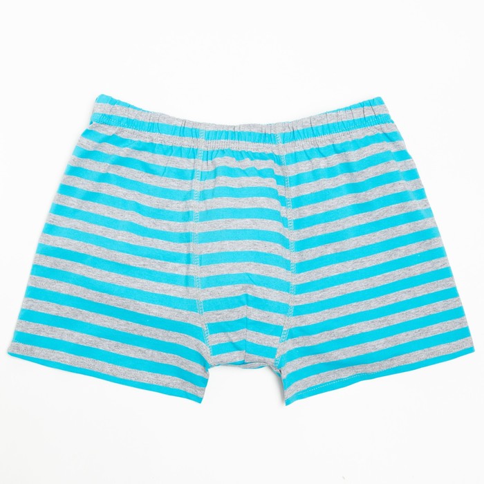 Трусы мужские боксеры, цвет серый/голубой, размер 54 
Трусы мужские боксеры, цвет серый/голубой, размер 54