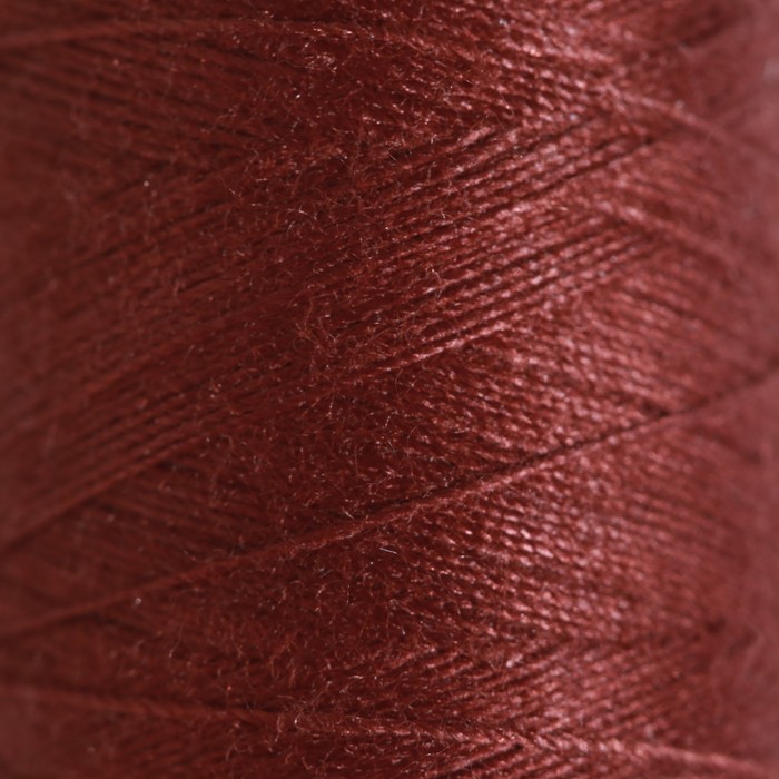 Нитки 40ЛШ, 200 м, цвет коричневый №4420
Нитки 40ЛШ, 200 м, цвет коричневый №4420