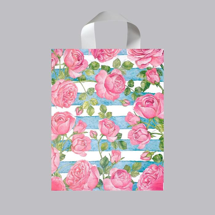 Набор пакетов "Прима", полиэтиленовый, с петлевой ручкой, 35 х 28 см, 55 мкм, 10 шт.
Набор пакетов "Прима", полиэтиленовый, с петлевой ручкой, 35 х 28 см, 55 мкм, 10 шт.