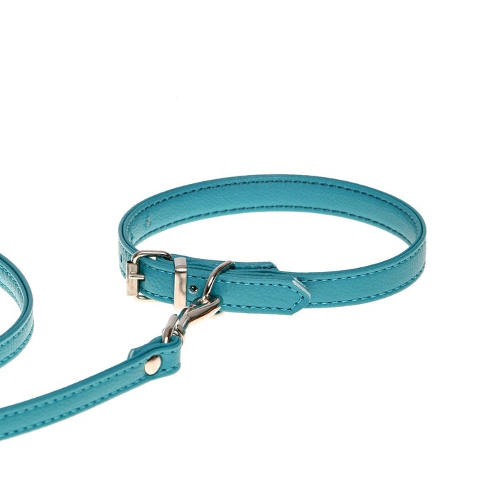Комплект ошейник (26-34х1.4 см) и поводок (120х1 см) из экокожи, бирюзовый
Комплект ошейник (26-34х1.4 см) и поводок (120х1 см) из экокожи, бирюзовый