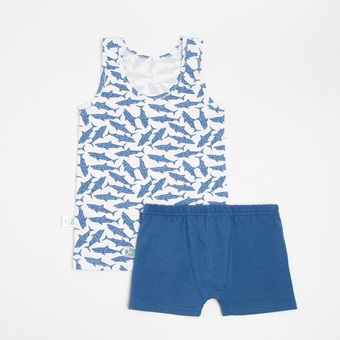 Комплект для мальчика (майка, трусы-боксеры), цвет белый/тёмно-синий, рост 98-104 см (28)
Комплект для мальчика (майка, трусы-боксеры), цвет белый/тёмно-синий, рост 98-104 см (28)