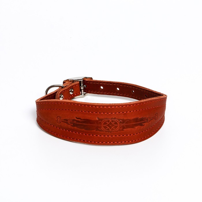 Ошейник кожаный двухслойный тиснёный «Селёдка», коричневый (35-41х1.6 см)
Ошейник кожаный двухслойный тиснёный «Селёдка», коричневый (35-41х1.6 см)