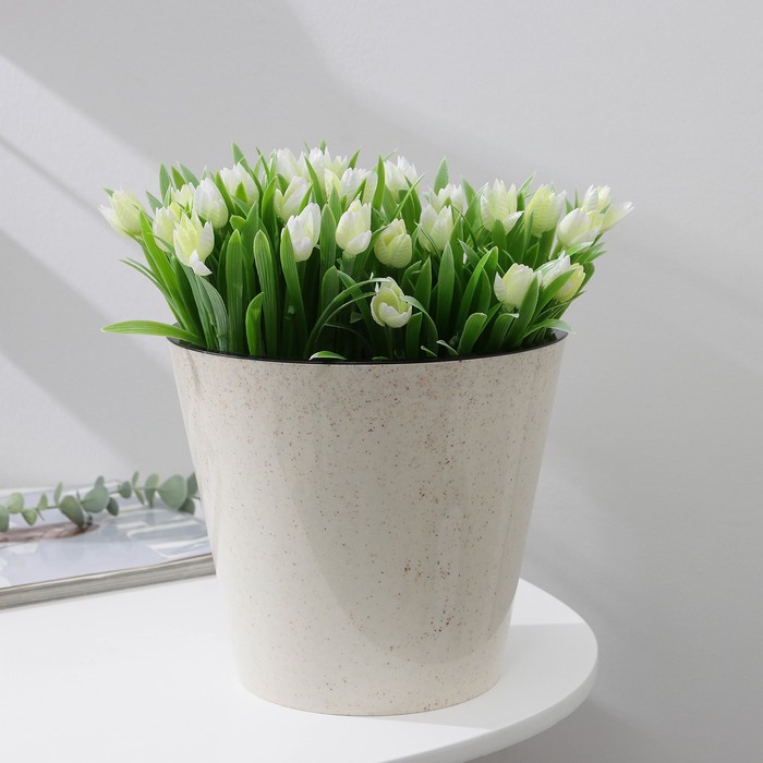 Кашпо для цветов со вставкой Pepper, 4 л, d=20 см, цвет светло-бежевый
Кашпо для цветов со вставкой Pepper, 4 л, d=20 см, цвет светло-бежевый