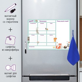 Планинг на холодильник магнитный РАСПИСАНИЕ 42 х 30 см, ЮНЛАНДИЯ, с маркером и салфеткой
Планинг на холодильник магнитный РАСПИСАНИЕ 42 х 30 см, ЮНЛАНДИЯ, с маркером и салфеткой