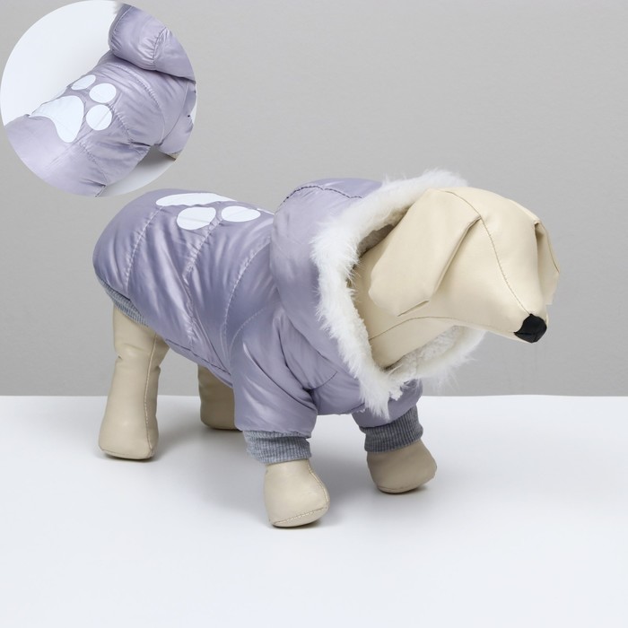 Куртка с капюшоном и мехом, размер М (ОШ 28, ОГ 40, ДС 26 см), серая
Куртка с капюшоном и мехом, размер М (ОШ 28, ОГ 40, ДС 26 см), серая