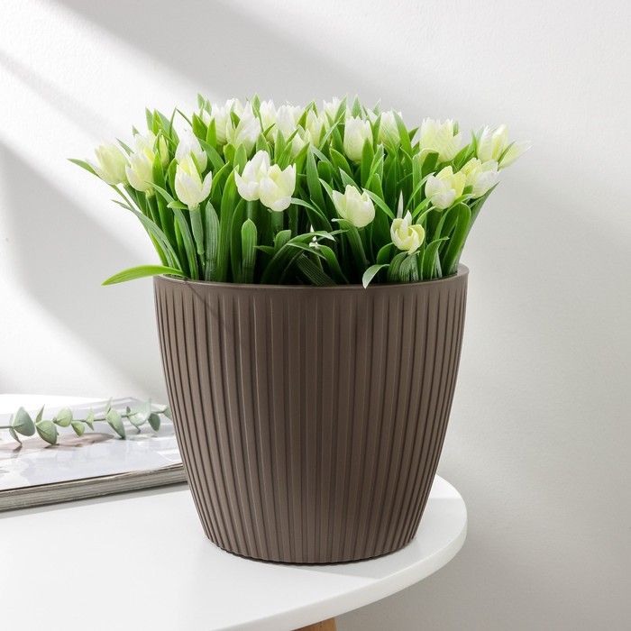 Горшок для цветов с дренажной системой Эви VipSet, 3 л, цвет коричневый
Горшок для цветов с дренажной системой Эви VipSet, 3 л, цвет коричневый