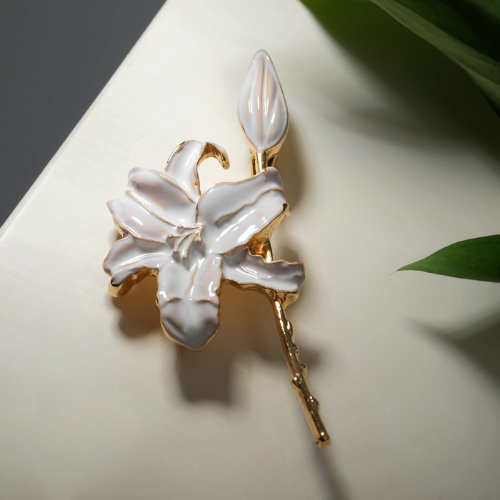 Брошь "Ваниль" цветок, цвет белый в золоте
Брошь "Ваниль" цветок, цвет белый в золоте