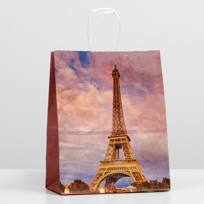 Пакет крафт "Париж", крученая ручка 22 х 12 х 27 см
Пакет крафт "Париж", крученая ручка 22 х 12 х 27 см