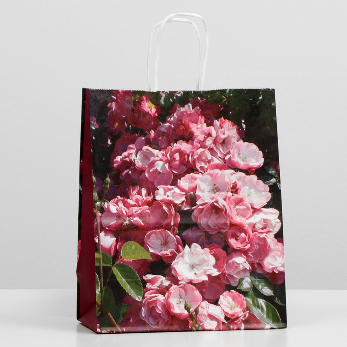 Пакет крафт "Розовые цветы", крученая ручка 22 х 12 х 27 см
Пакет крафт "Розовые цветы", крученая ручка 22 х 12 х 27 см