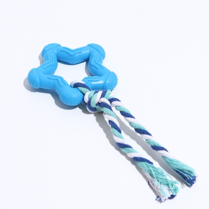 Игрушка жевательная "Звезда с канатом", TPR, 19 см, микс цветов
Игрушка жевательная "Звезда с канатом", TPR, 19 см, микс цветов