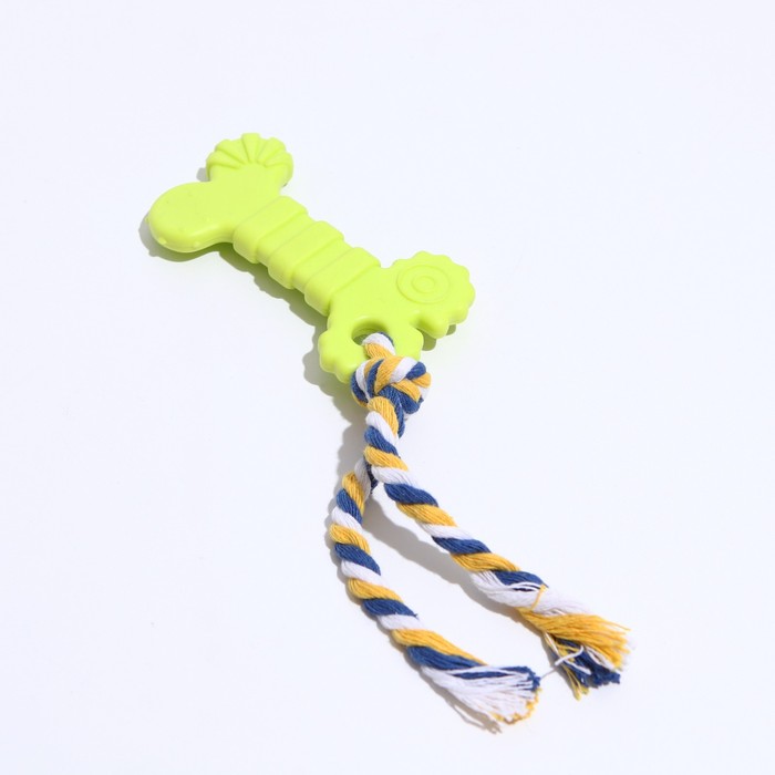Игрушка жевательная "Кость с канатом", TPR, 19 см, микс цветов
Игрушка жевательная "Кость с канатом", TPR, 19 см, микс цветов
