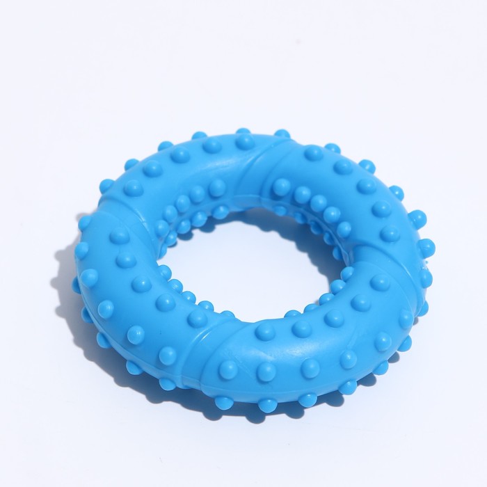 Игрушка жевательная "Кольцо с шипами", TPR, 7 см, микс цветов
Игрушка жевательная "Кольцо с шипами", TPR, 7 см, микс цветов