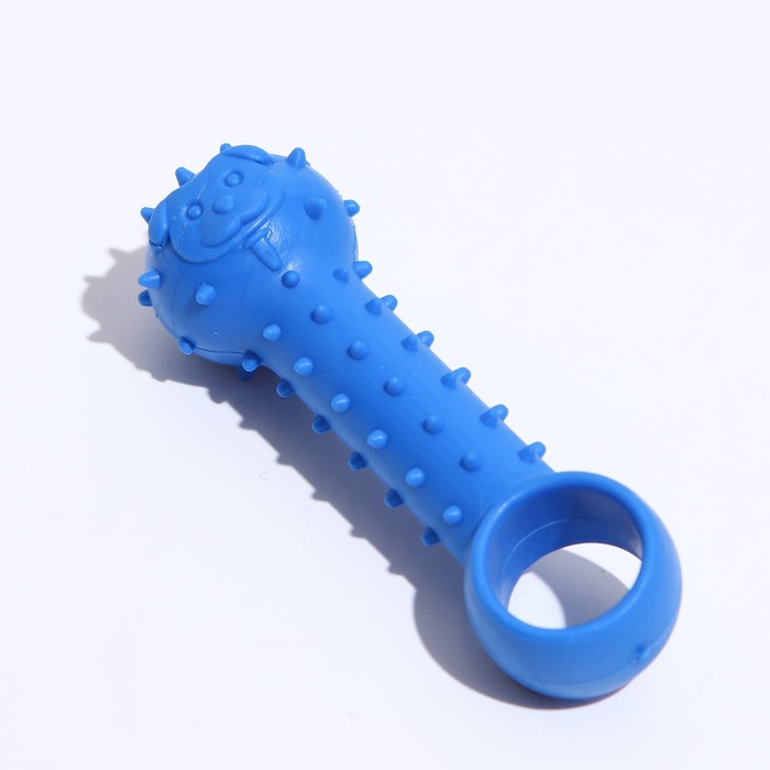 Игрушка-дразнилка "Поймай меня",TPR, 9,5см, микс цветов
Игрушка-дразнилка "Поймай меня",TPR, 9,5см, микс цветов