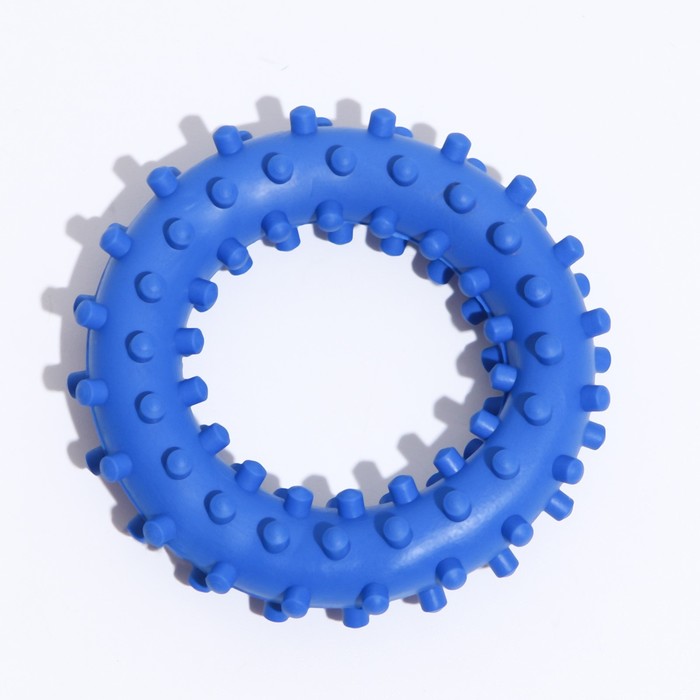 фото Игрушка "кольцо с шипами №2", 6,8 см, синяя зооник