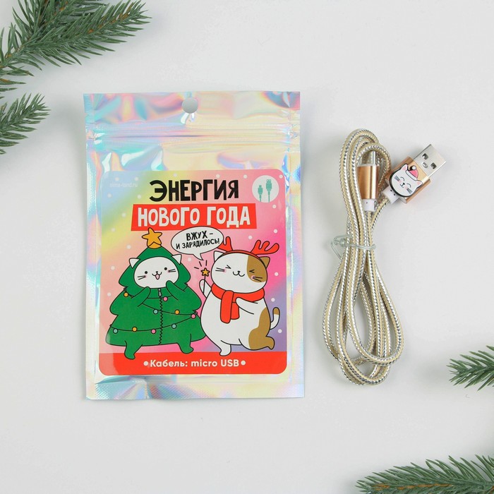 Провод Type C "Энергия нового года", 1м
Провод Type C "Энергия нового года", 1м