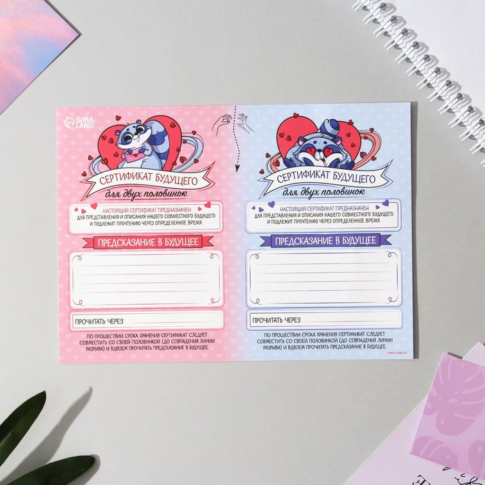 Сертификат для двоих «Предсказание в будущее», 18 х 13 см
Сертификат для двоих «Предсказание в будущее», 18 х 13 см
