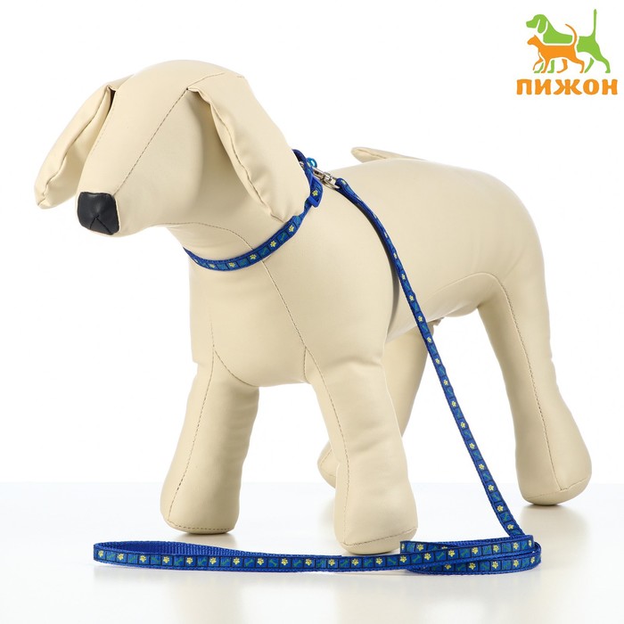 Комплект амуниции с ошейником "Лапка и кость", поводок 1 х 120 см, ОШ 20-33 см , синий
Комплект амуниции с ошейником "Лапка и кость", поводок 1 х 120 см, ОШ 20-33 см , синий