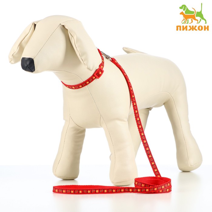 Комплект амуниции с ошейником "Лапка и кость", 1 х 120 см, красный 
Комплект амуниции с ошейником "Лапка и кость", 1 х 120 см, красный