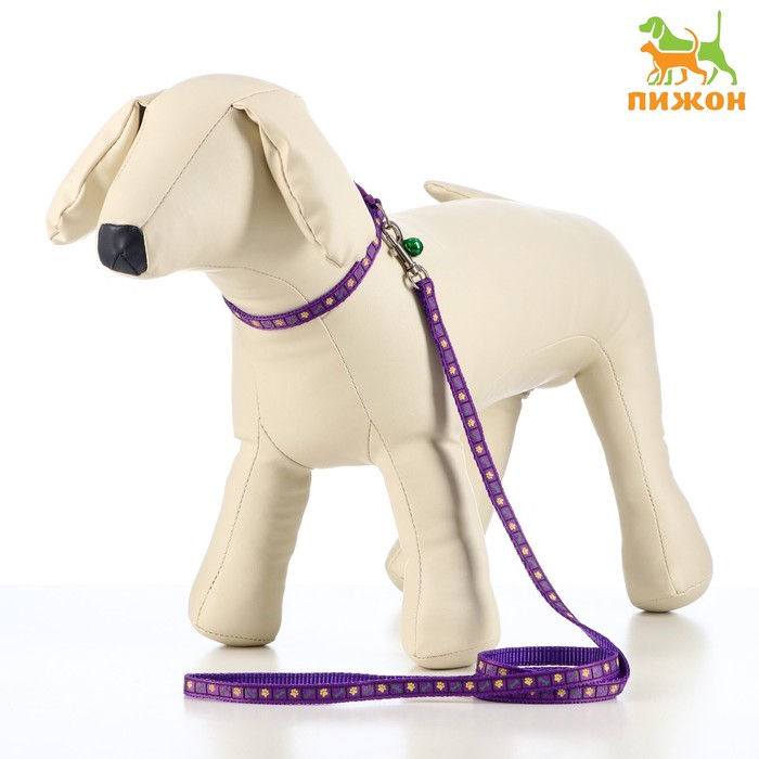 Комплект амуниции с ошейником "Лапка и кость", 1 х 120 см, фиолетовый
Комплект амуниции с ошейником "Лапка и кость", 1 х 120 см, фиолетовый