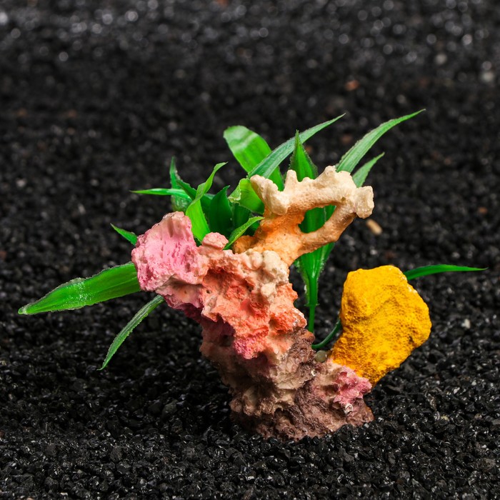 Декор для аквариума "Коралл", 10 х 5,5 х 9 см 
Декор для аквариума "Коралл", 10 х 5,5 х 9 см