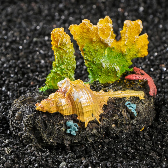 Декор для аквариума "Коралл с ракушкой", 13 х 9 х 9 см 
Декор для аквариума "Коралл с ракушкой", 13 х 9 х 9 см