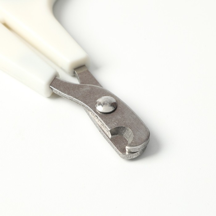 фото Ножницы-когтерезы с упором для пальца, отверстие 6 мм, белые с чёрным пижон