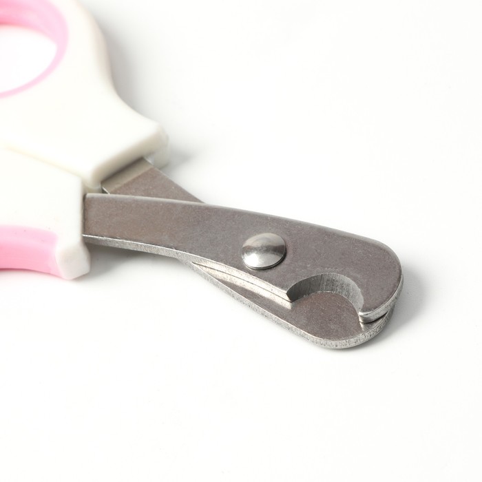 фото Ножницы-когтерезы средние с упором для пальца, белые с розовым пижон