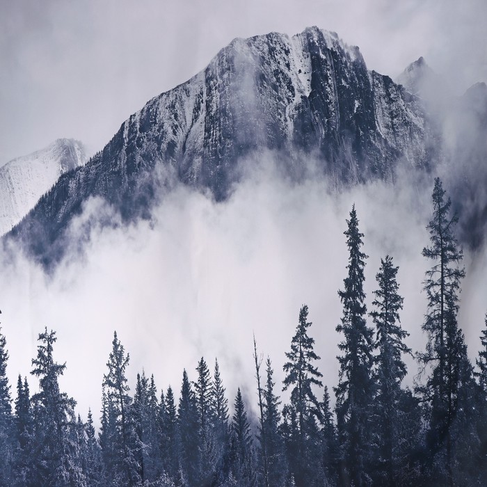 фото Штора для ванны доляна «сумерки», с люверсами, 180×180 см, полиэстер