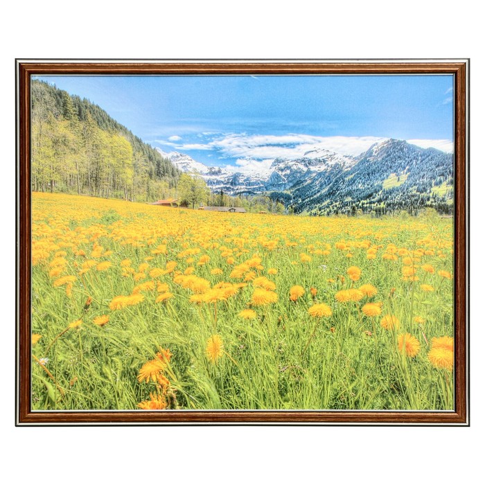 Картина "Цветочное поле" 50х40 (43х53) см
Картина "Цветочное поле" 50х40 (43х53) см