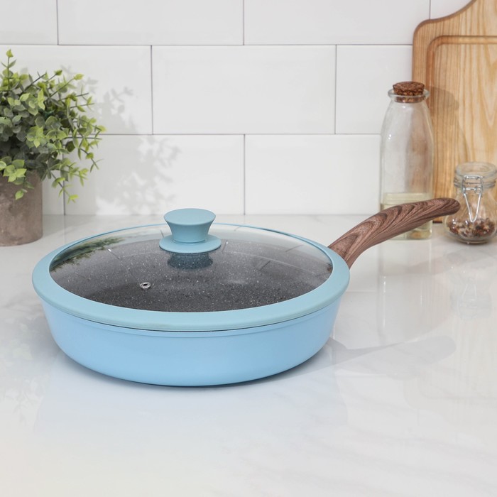 Сковорода Casta Color, d=28 см, стеклянная крышка, цвет голубой
Сковорода Casta Color, d=28 см, стеклянная крышка, цвет голубой