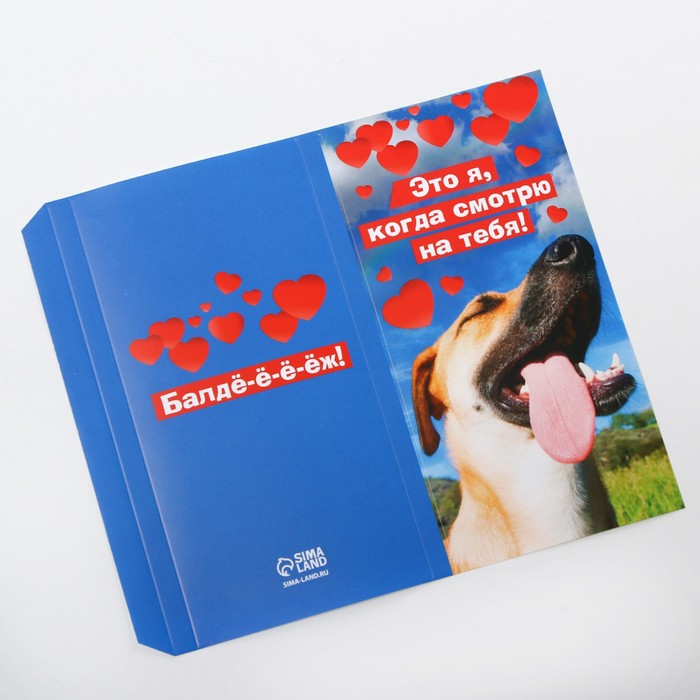 Обёртка для шоколада «Балдёж» 18.2 × 15.5 см 
Обёртка для шоколада «Балдёж» 18.2 × 15.5 см