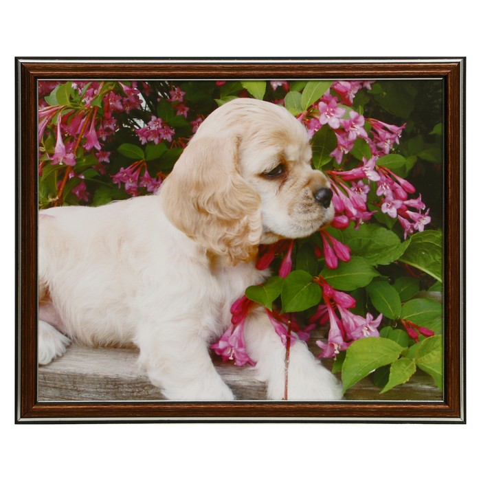 Картина "Милый щенок" 35х28 (38*31) см
Картина "Милый щенок" 35х28 (38*31) см