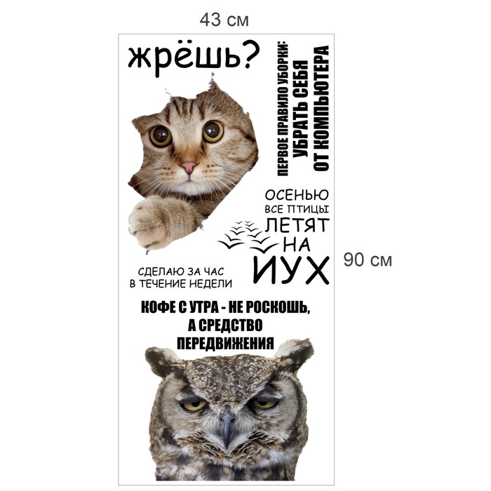 Наклейка интерьерная "Приколы" 43х90 см
Наклейка интерьерная "Приколы" 43х90 см