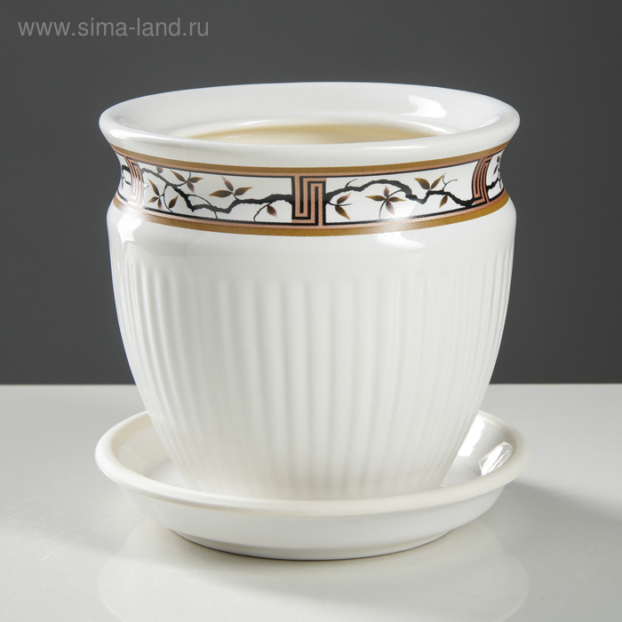 Горшок для цветов "Антика", белый, керамика, 1 л 
Горшок для цветов "Антика", белый, керамика, 1 л