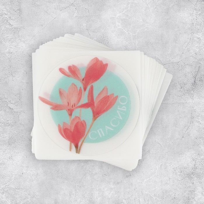 Набор наклеек для бизнеса «Спасибо», матовая пленка, 50 шт, 4 х 4 см
Набор наклеек для бизнеса «Спасибо», матовая пленка, 50 шт, 4 х 4 см